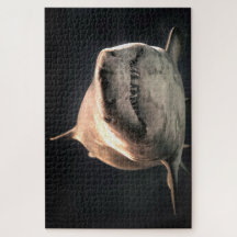 Tubarão Branco do excelente