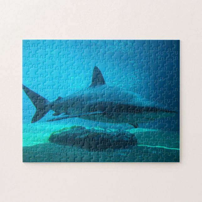 Quebra-cabeça Tubarão-charuto (Carcharhinus Obscurus), Ushaka (Horizontal)