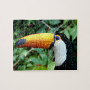 Quebra-cabeça Tucano-de-bico-amarelo