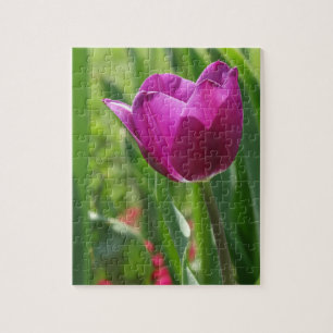 Quebra-cabeça Tulip Blossom