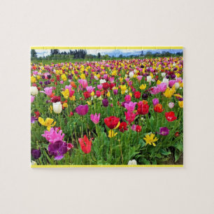 Quebra-cabeça Tulip Field, Oregon