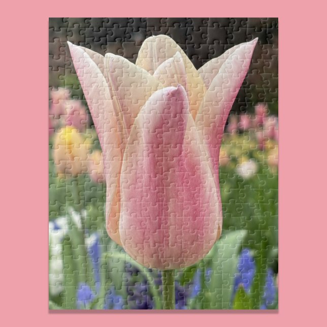 Quebra-cabeça Tulipa Solitária em Jardim Skagit Valley (Criador carregado)