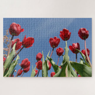 Quebra-cabeça Tulipa Triunfo (Tulipa) "Reinier Paping"