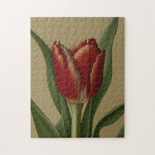 Quebra-cabeça Tulipa Vermelha chique Adorável