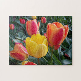 Quebra-cabeça Tulipas Amarelas e Vermelhas Jardim de Pedras Foto