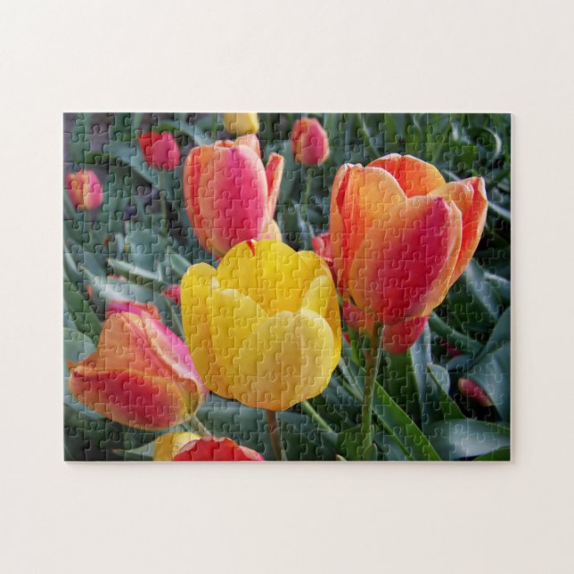 Quebra-cabeça Tulipas Amarelas e Vermelhas Jardim de Pedras Foto (Horizontal)