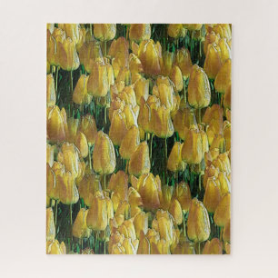 Quebra-cabeça Tulipas Amarelas Sunshine