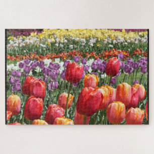 Quebra-cabeça Tulipas Coloridas no Bloom Elizabeth Park Hartford
