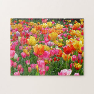 Quebra-cabeça Tulipas cor-de-rosa amarelas do vermelho