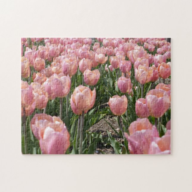 Quebra-cabeça Tulipas cor-de-rosa com beijos solares (Horizontal)