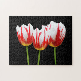 Quebra-cabeça Tulipas de Folha Elegante de Maple