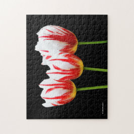 Quebra-cabeça Tulipas de Folha Elegante de Maple