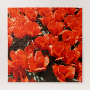 Quebra-cabeça Tulipas de laranja