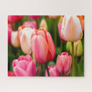 Quebra-cabeça Tulipas de primavera