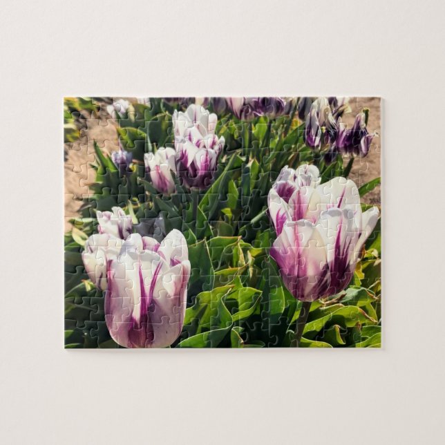 Quebra-cabeça Tulipas de Stripe Branca e Roxa (Horizontal)