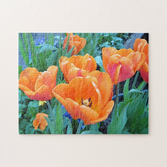 Quebra-cabeça Tulipas Laranja (Horizontal)