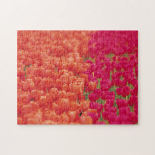 Quebra-cabeça Tulipas laranja e rosa