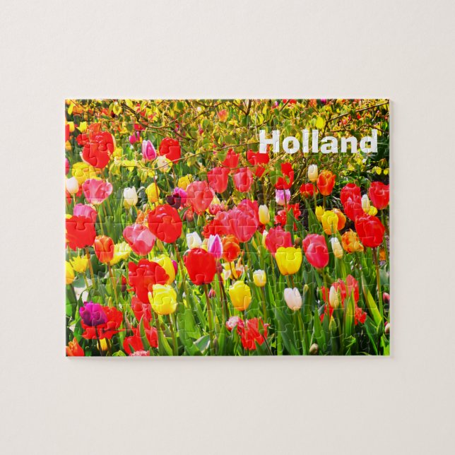 Quebra-cabeça Tulipas na Holanda (Horizontal)