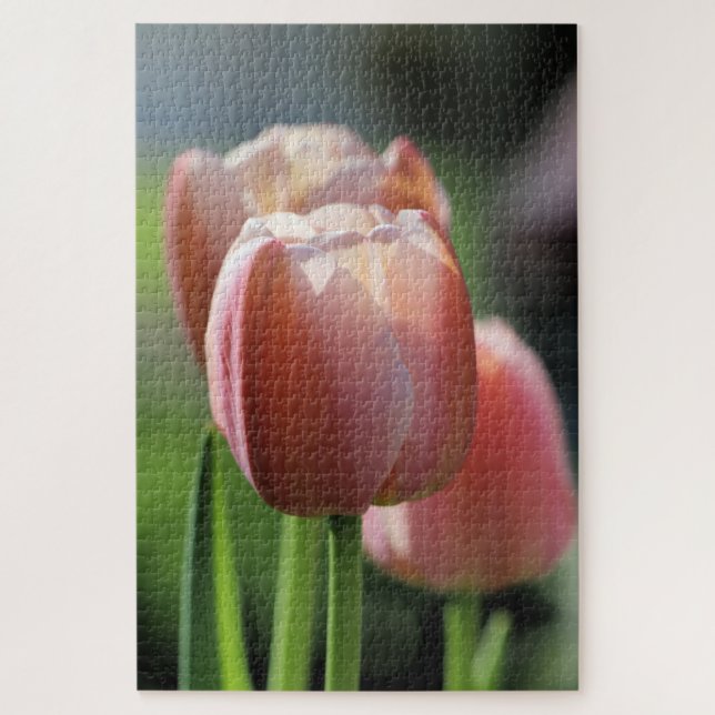 Quebra-cabeça Tulipas Rosa (Vertical)