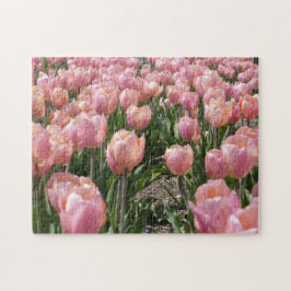 Quebra-cabeça Tulipas Rosa Beijadas pelo Sol
