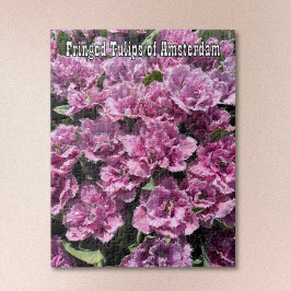 Quebra-cabeça Tulipas Roxas Franjadas de Amsterdã Jigsaw Puzzle