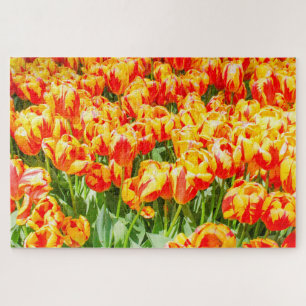 Quebra-cabeça Tulipas vermelhas e amarelas