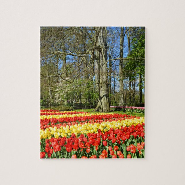 Quebra-cabeça Tulipas vermelhas e amarelas (Vertical)