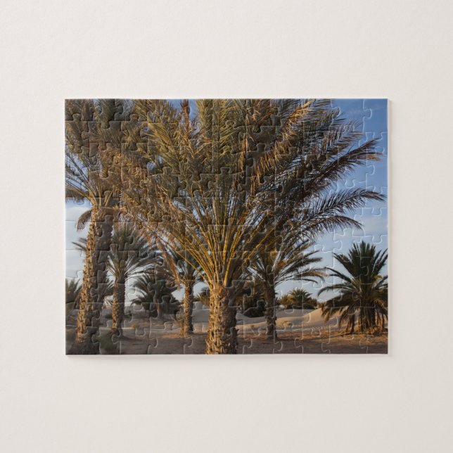 Quebra-cabeça Tunísia, Deserto do Saara, Douz, Grande Duna, palm (Horizontal)