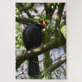 Quebra-cabeça Turaco-de-lady-ross