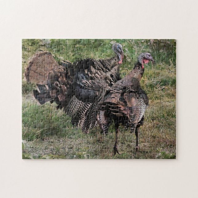 Quebra-cabeça Turquia Selvagem Antes Da Luta (Horizontal)