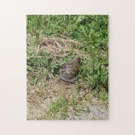Quebra-cabeça Turtle