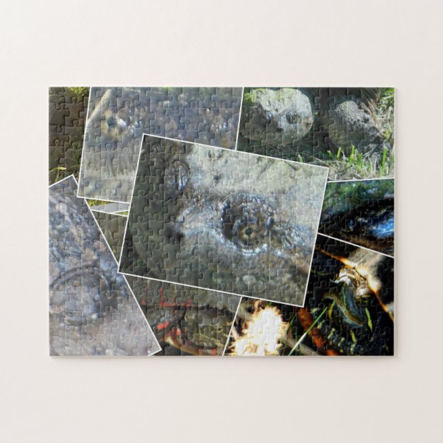 Quebra-cabeça Turtle Collage (Horizontal)