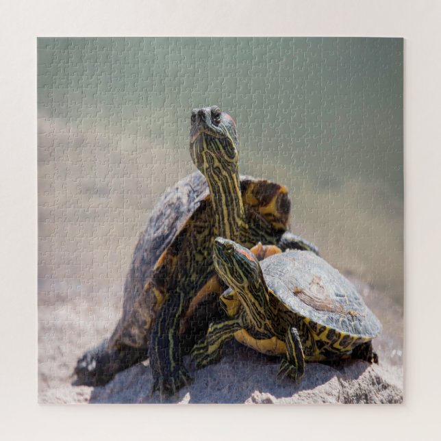 Quebra-cabeça Turtle Love (Vertical)