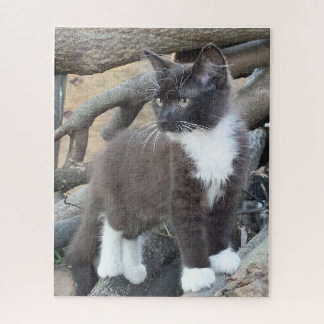 Quebra-cabeça Tuxedo Kitten (Vertical)