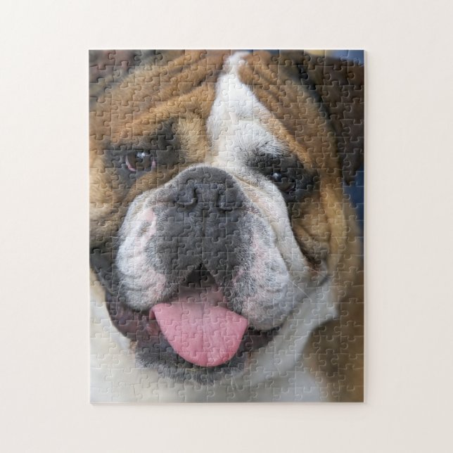 Quebra-cabeça Um bulldog inglês na Bélgica (Vertical)