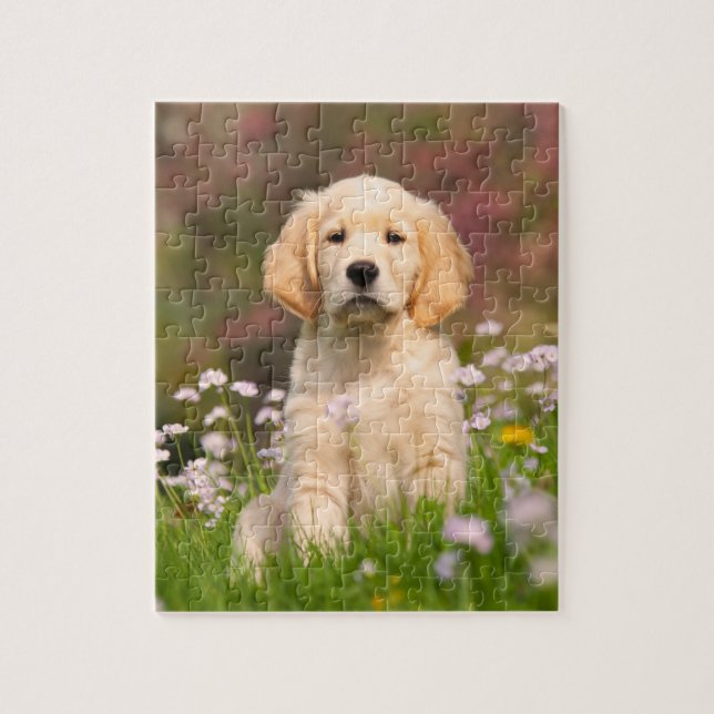 Quebra-cabeça Um cachorrinho de Ouro, um Goldie (Vertical)