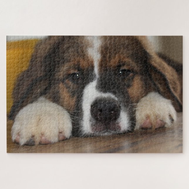 Quebra-cabeça Um Cachorro Encolhido (Horizontal)