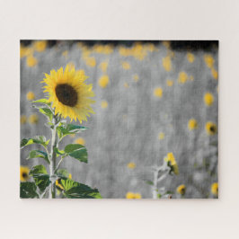 Quebra-cabeça Um Campo de Girassóis em Preto e Branco