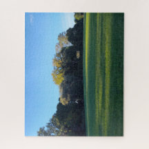 Um Campo de Reflexão