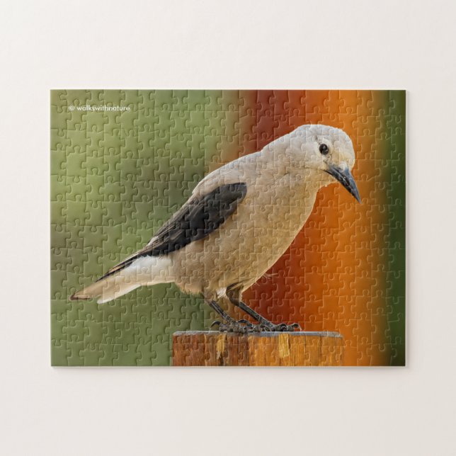 Quebra-cabeça Um Curioso Quebra-Nozes de Clark (Horizontal)