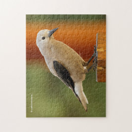 Quebra-cabeça Um Curioso Quebra-Nozes de Clark