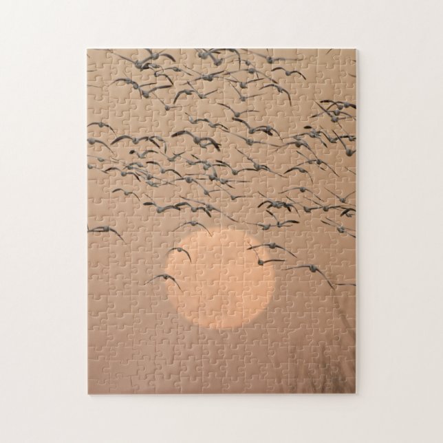 Quebra-cabeça Um grupo migratório de gansos de neve (Vertical)