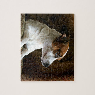 Quebra-cabeça Um Jack de pensamento Russell Terrier