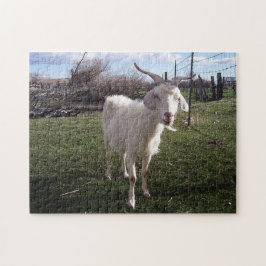 Quebra-cabeça Um jovem Goat