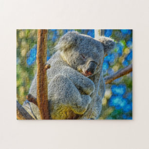 Quebra-cabeça Um Koala dormindo pacificamente em uma árvore