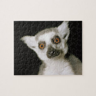 Quebra-cabeça Um lemur.