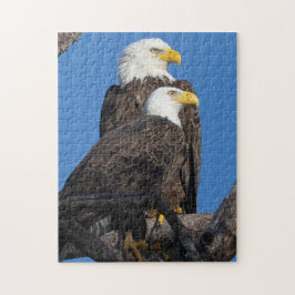 Quebra-cabeça Um novo Casal no Nest-M15 e F23