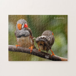 Quebra-cabeça Um Par Cheiroso de Zebra Finches