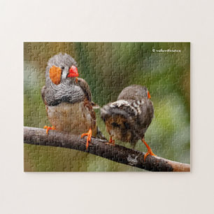 Quebra-cabeça Um Par Cheiroso de Zebra Finches