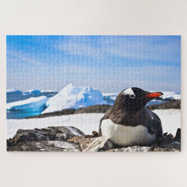 Quebra-cabeça Um Pinguim Gentil Deitado Nas Rochas Da Antártica (Horizontal)